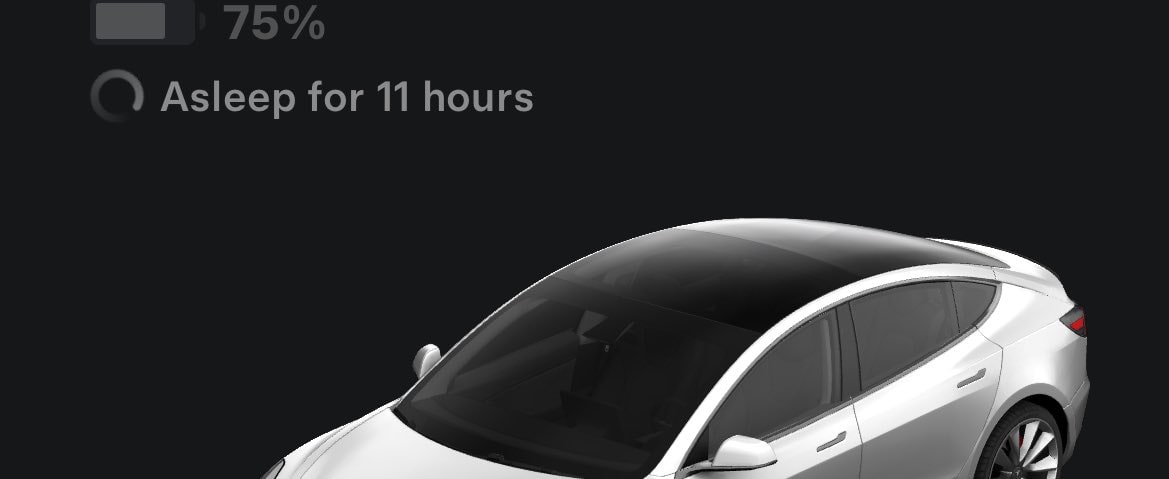 Tesla Time Asleep feature in update 4.33.0